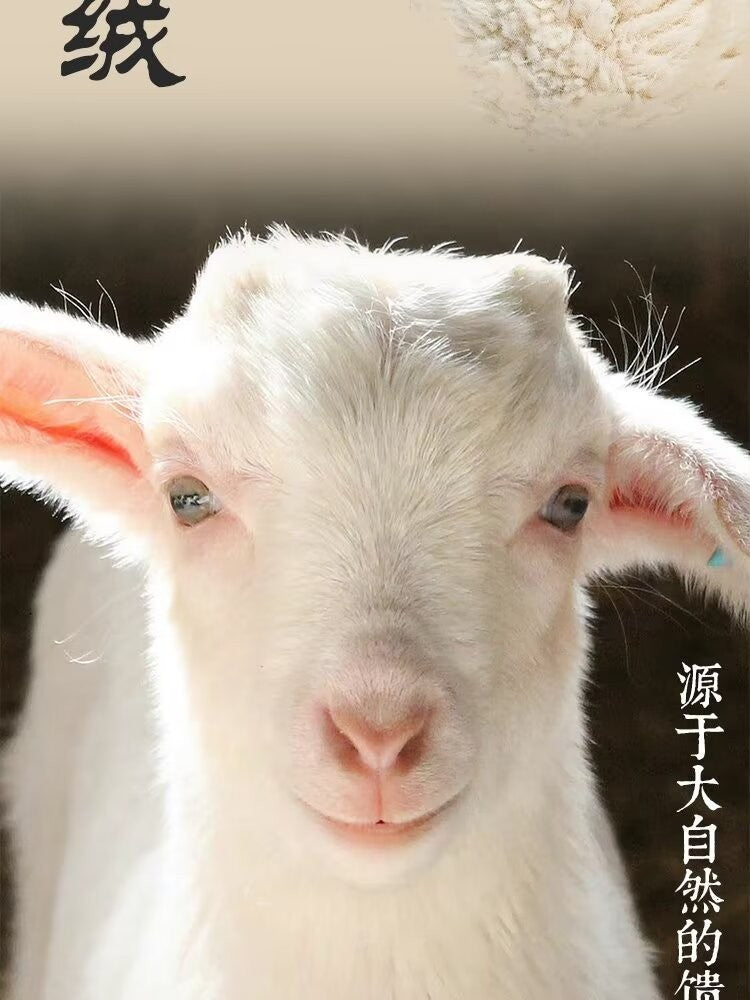 5f05e9dc-3e5c-4067-8ebf-7093a00df52d