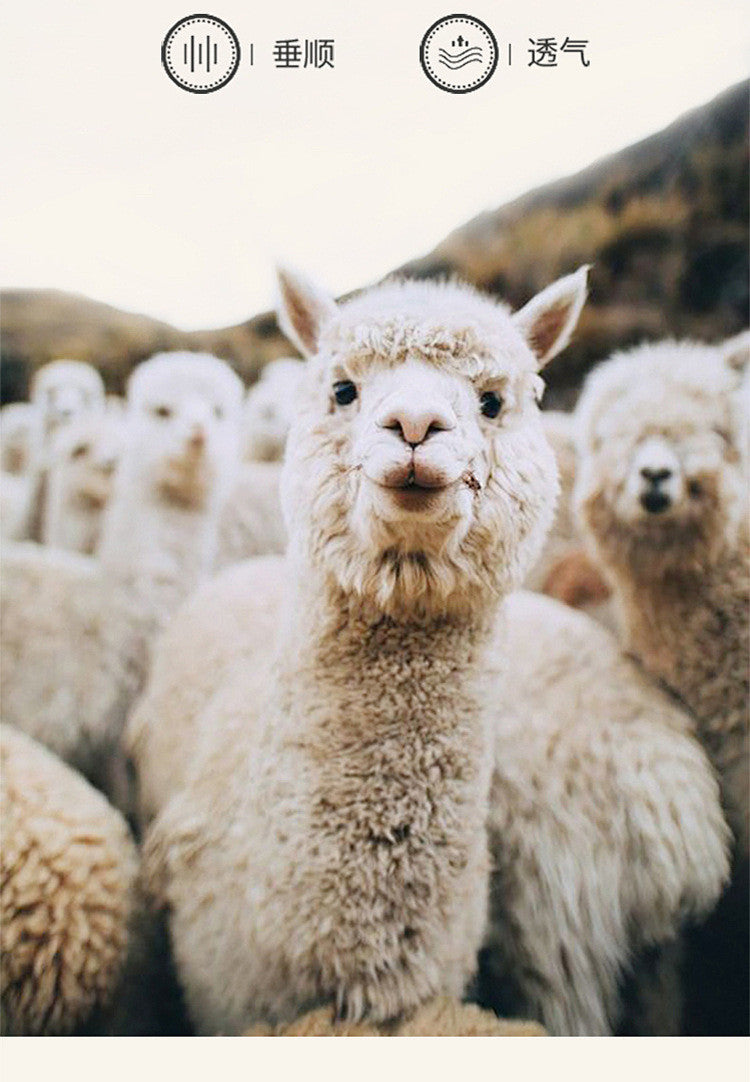 24e375fc-ca0e-4356-8f18-ab7366c274a7